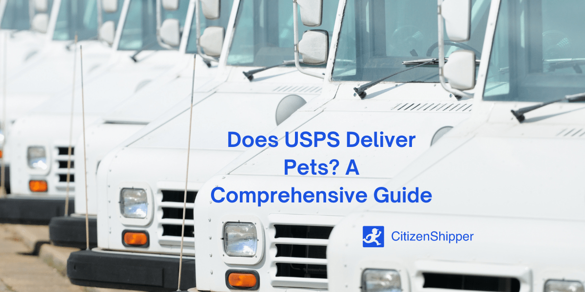 Is USPS Pet Delivery Possible? CitizenShipper Blog