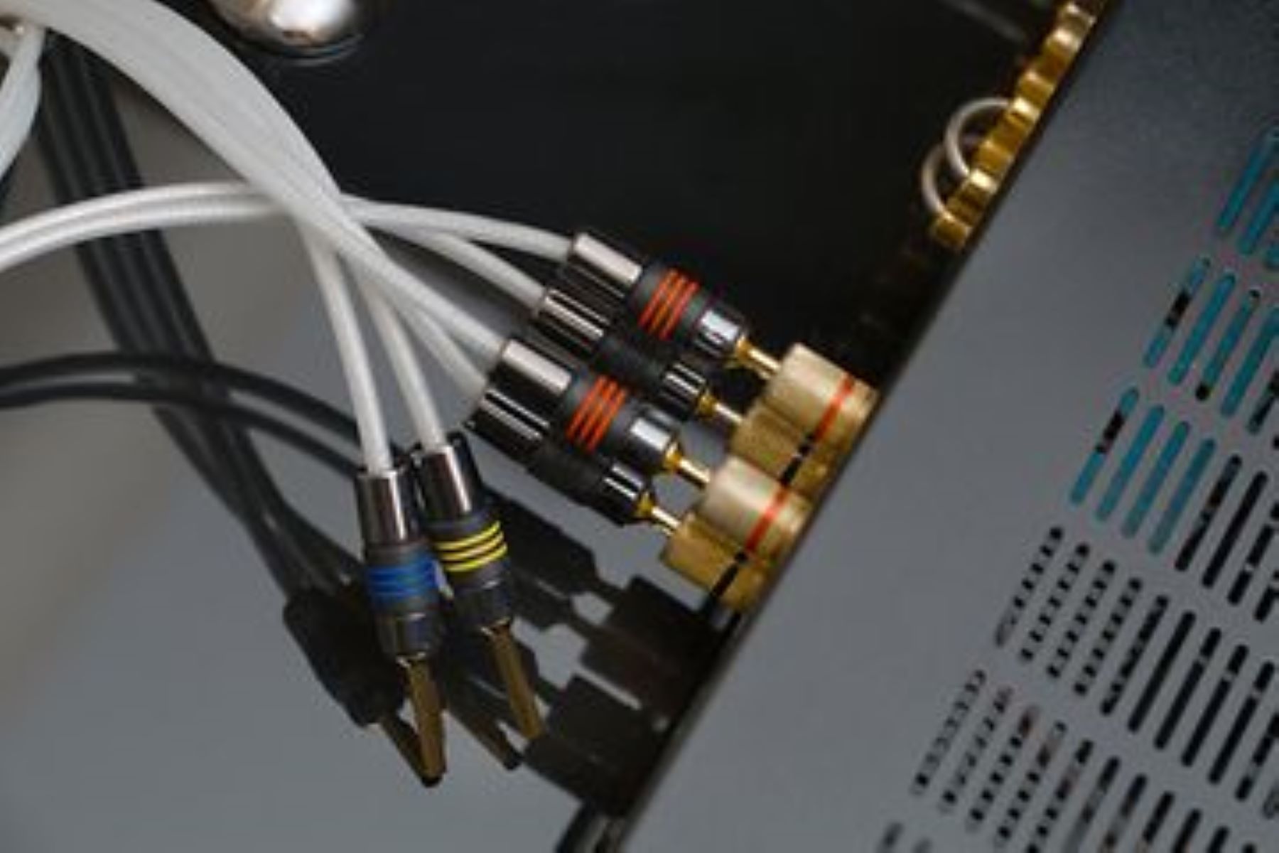 How to Connect a Subwoofer to a Receiver or Amplifier | CitizenSide