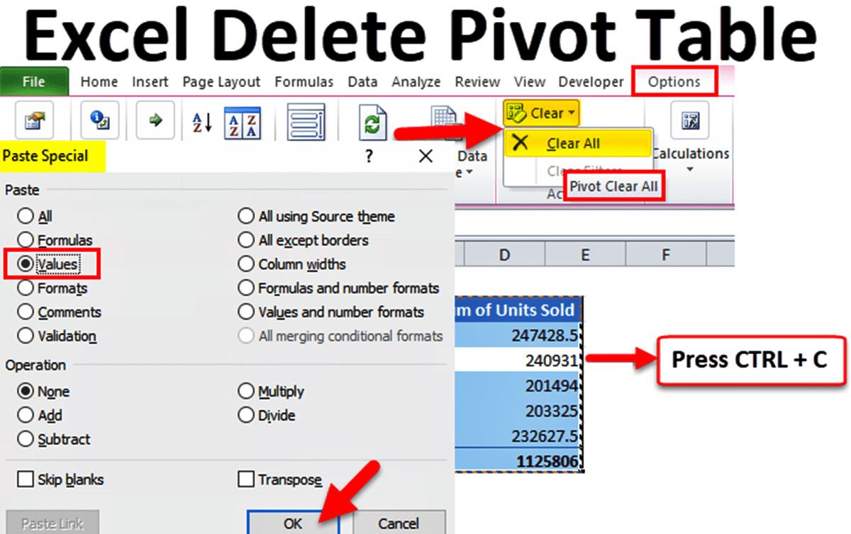 How to Delete Pivot Tables in Excel CitizenSide
