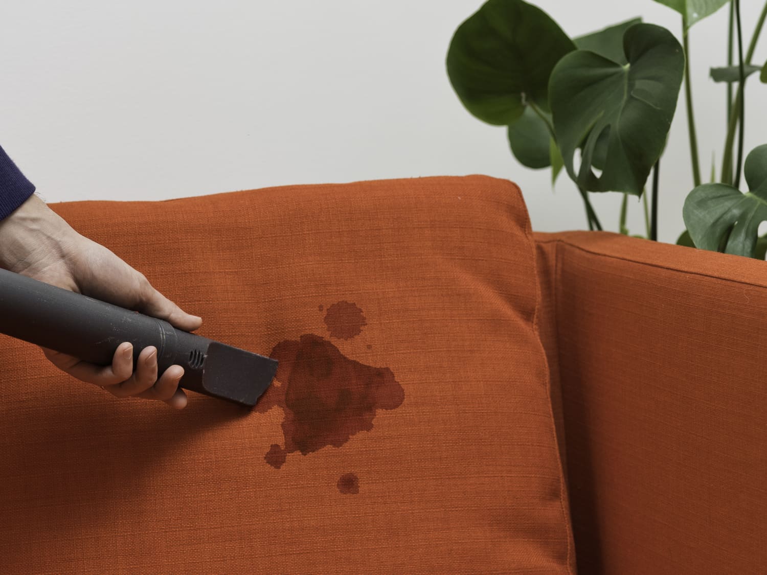 How To Get Oil Stain Out Of Sofa CitizenSide