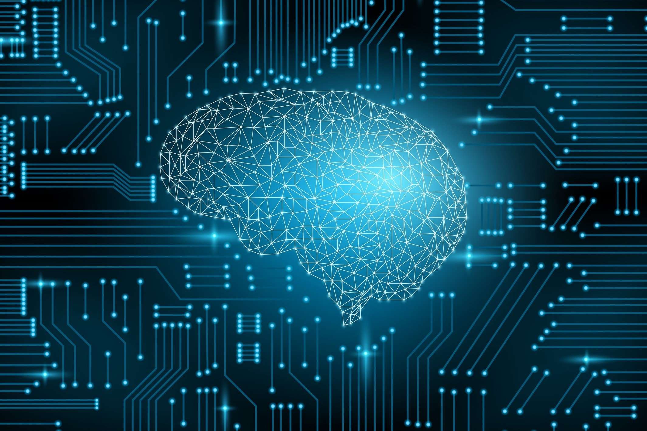 How Does Machine Learning Algorithms Work CitizenSide