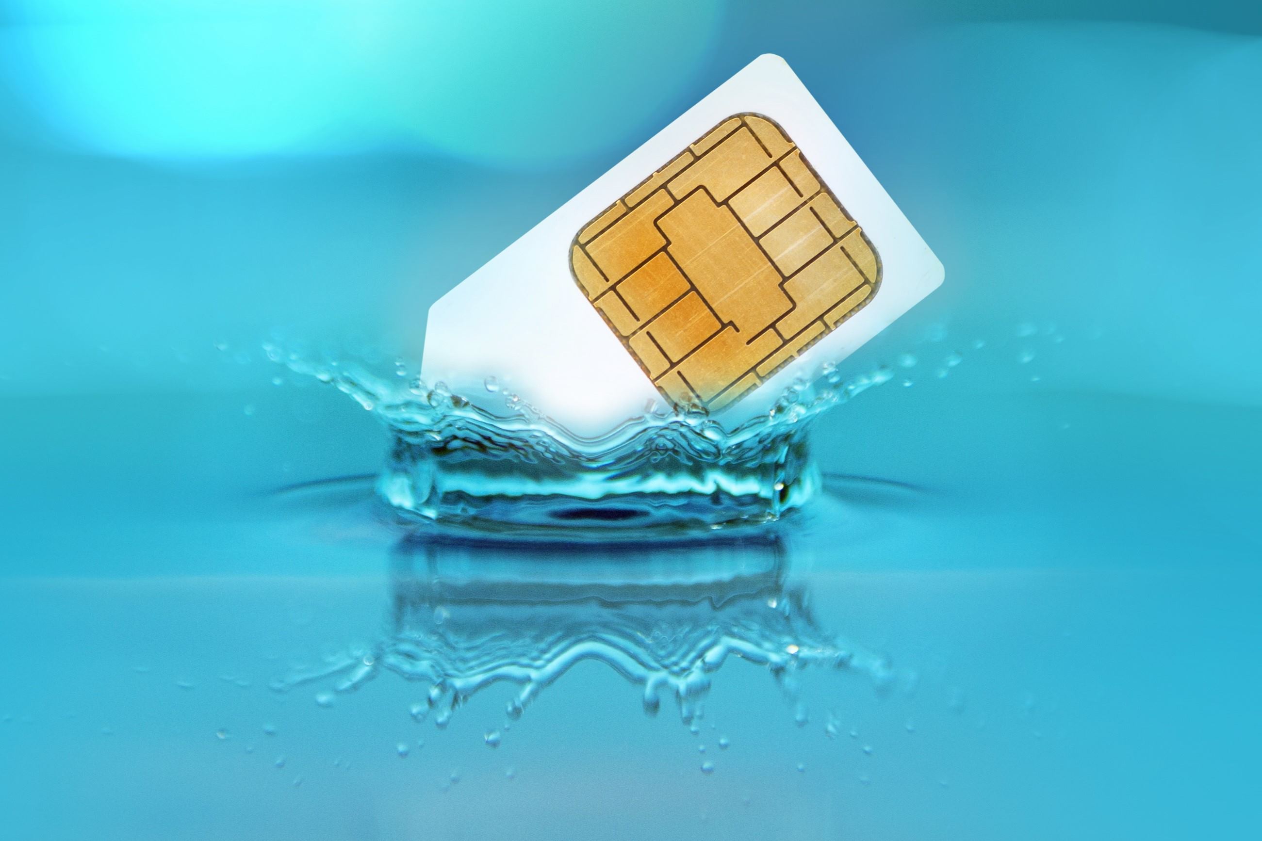 What's Stored on the SIM Card Important Data CitizenSide