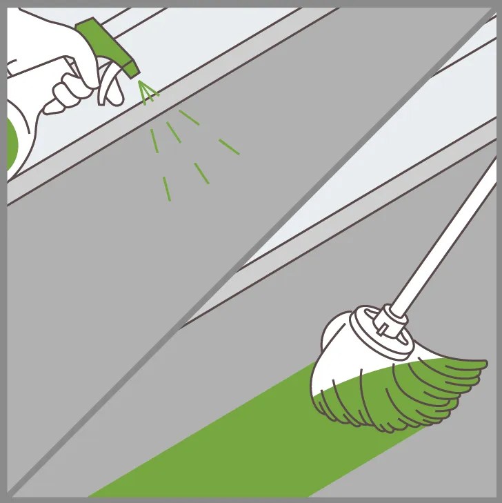 Treat Carpets for Mold Citrisafe