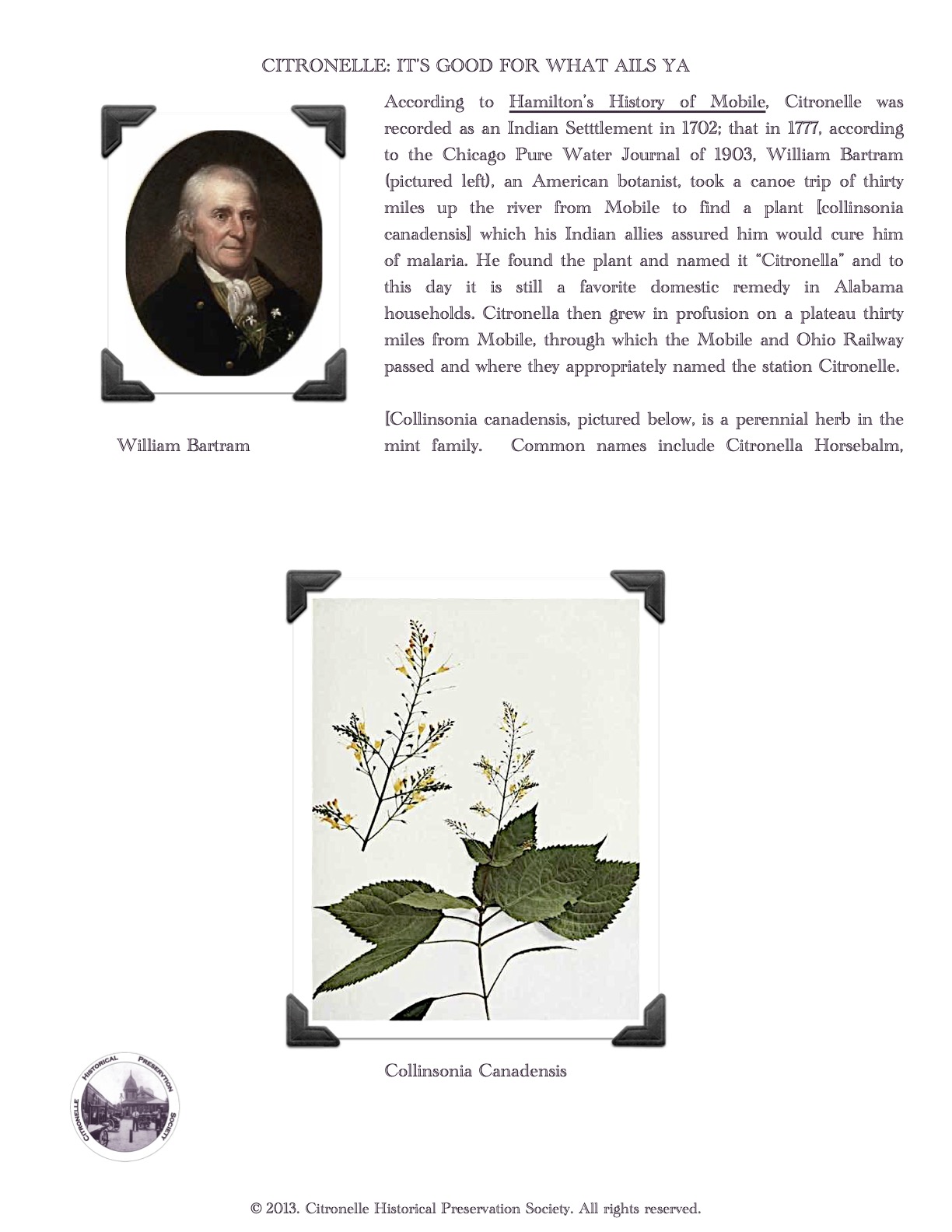 Citronelle Historical Preservation Society About Citronelle, Alabama