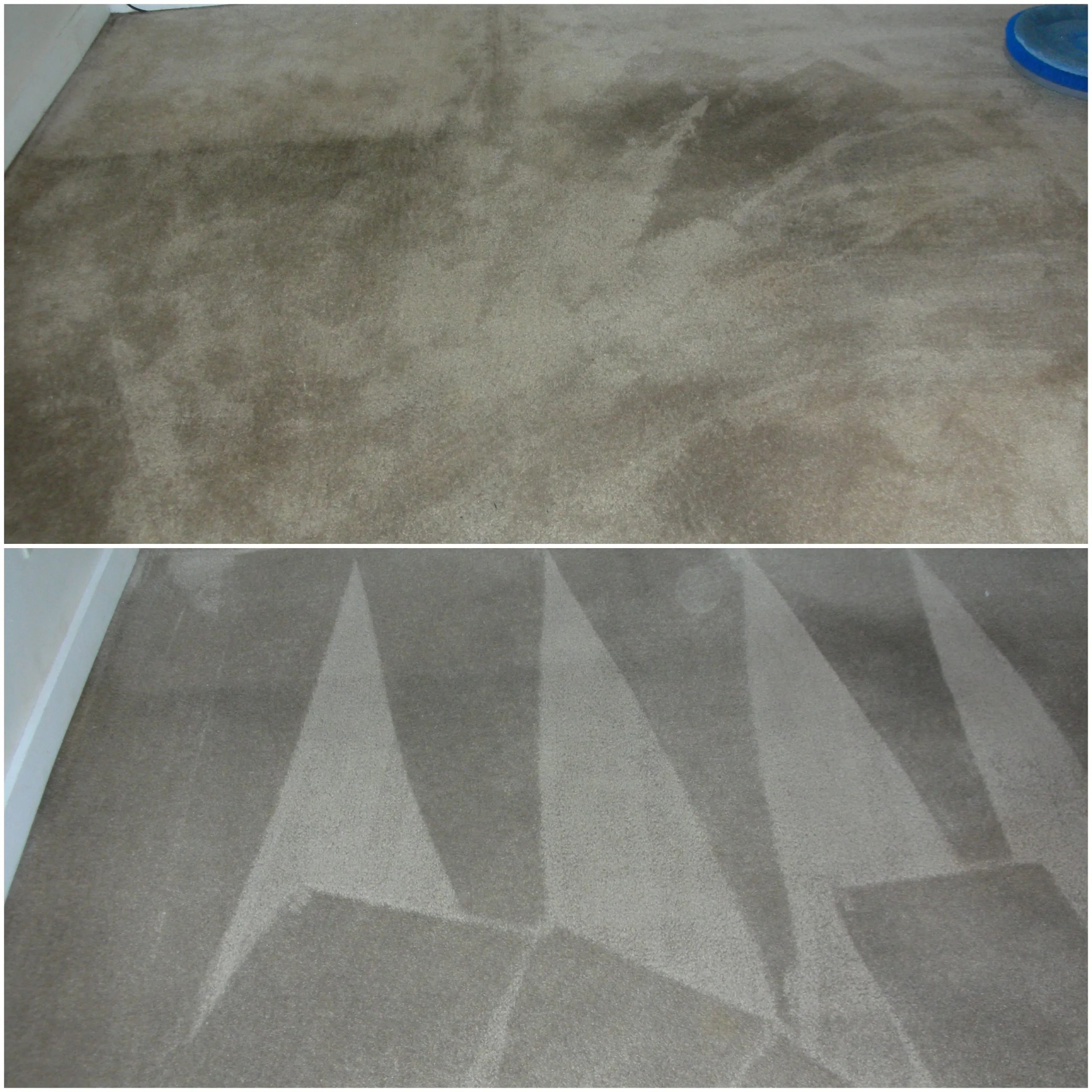 Carpet Cleaning in Richmond VA CitruSolution Carpet Cleaners
