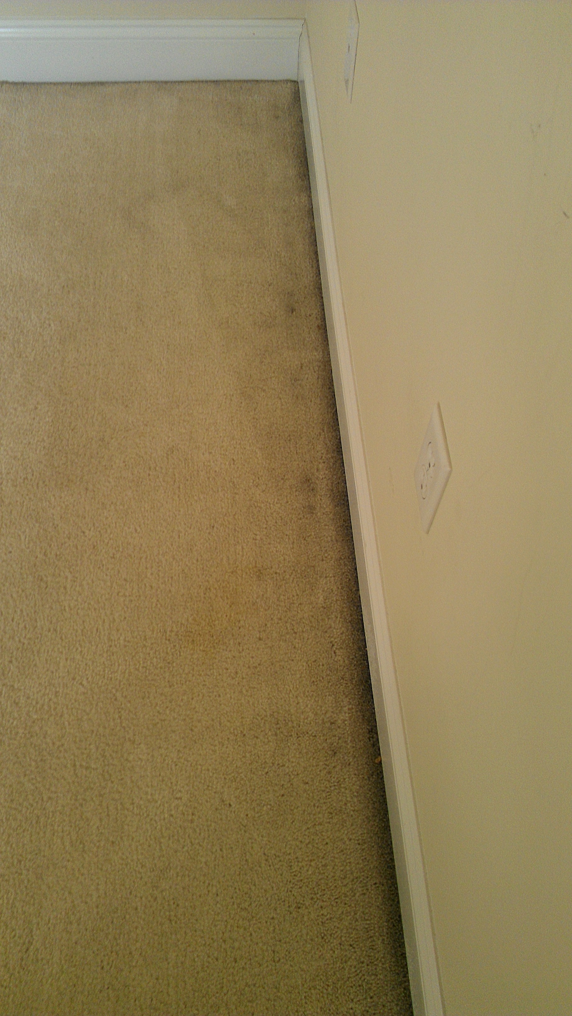 Why are the edges of my Carpet so dirty? Carpet Cleaning Company