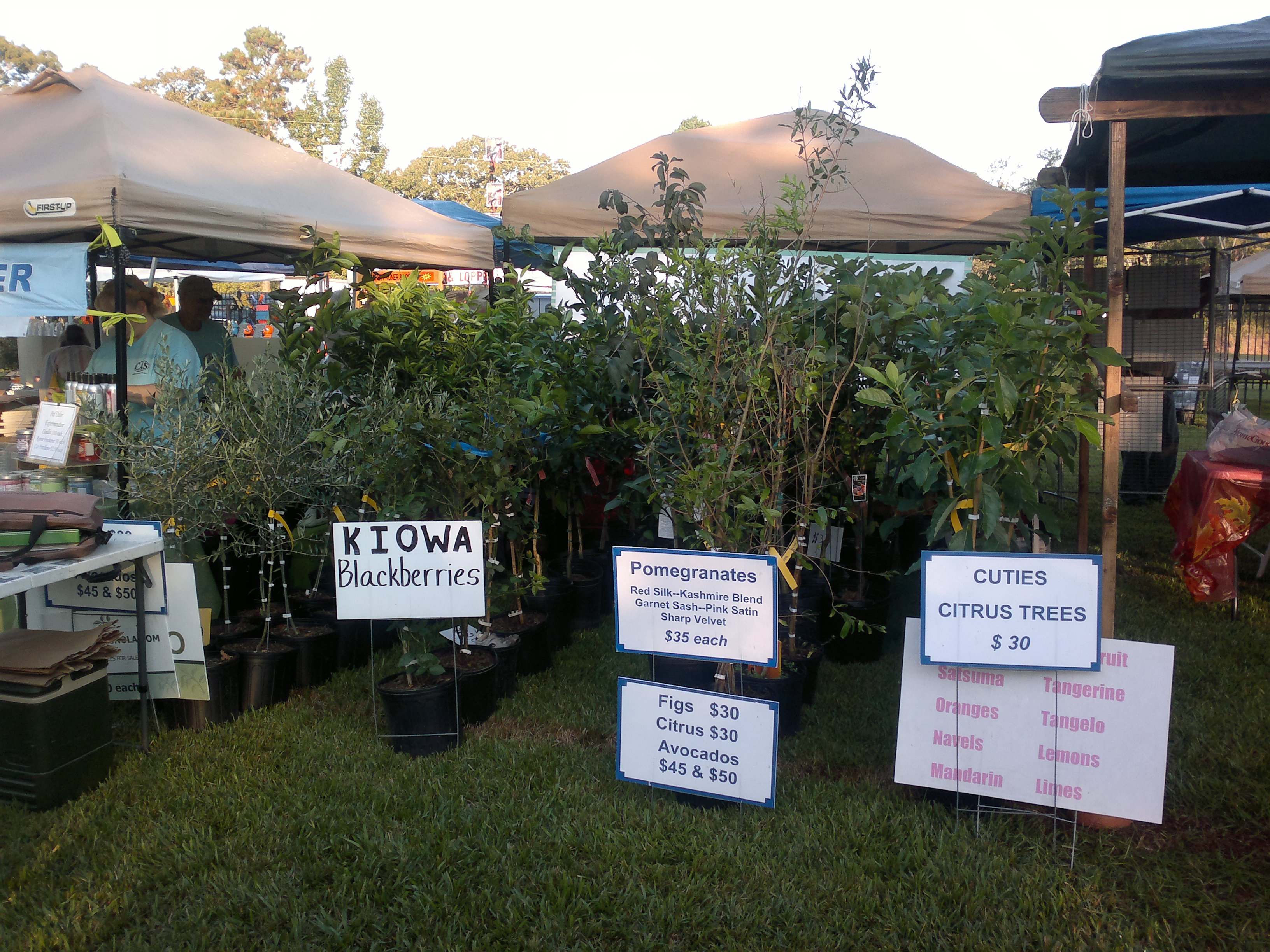 Garden Shows 201120122013