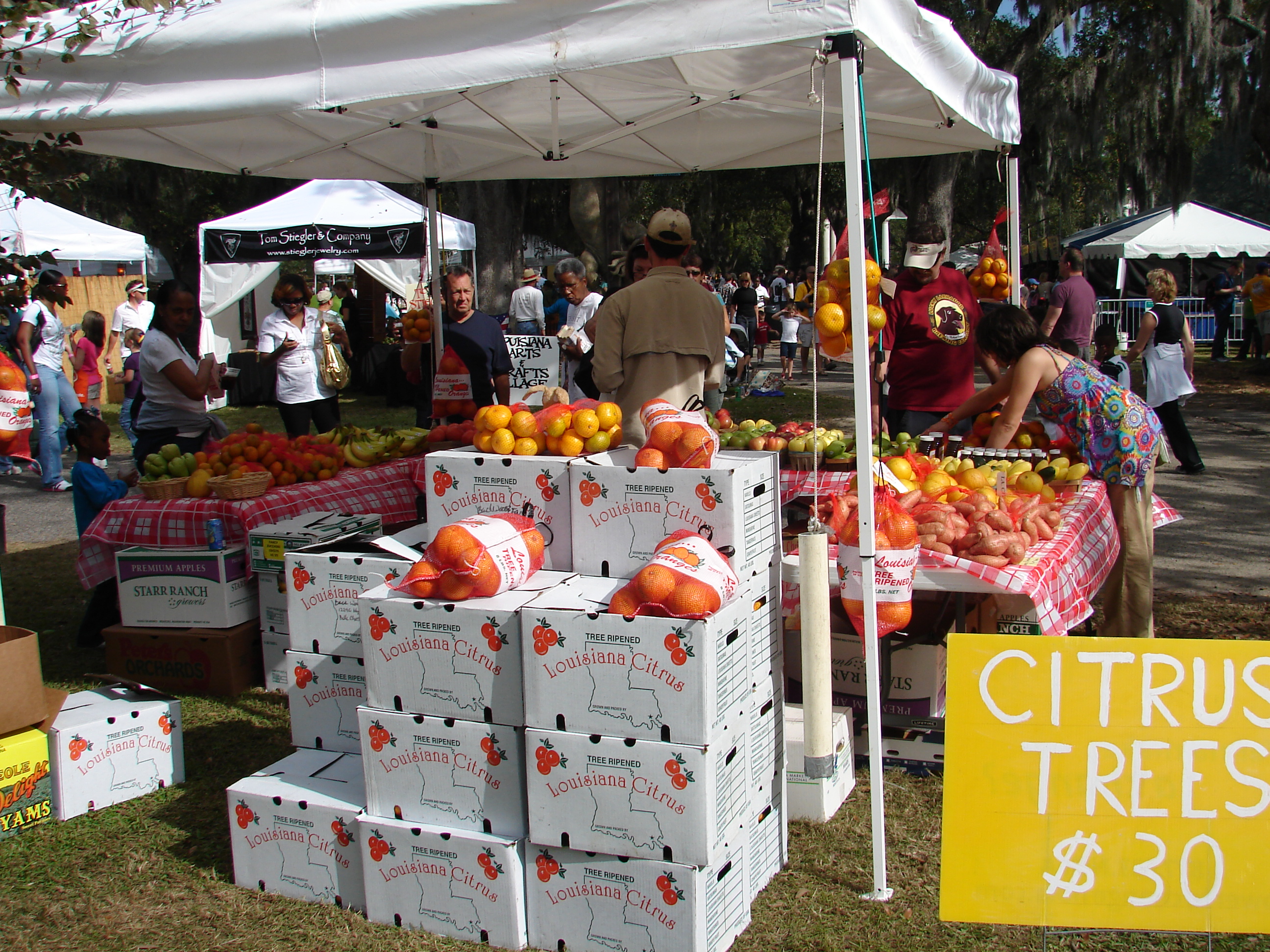 Garden Shows 2009