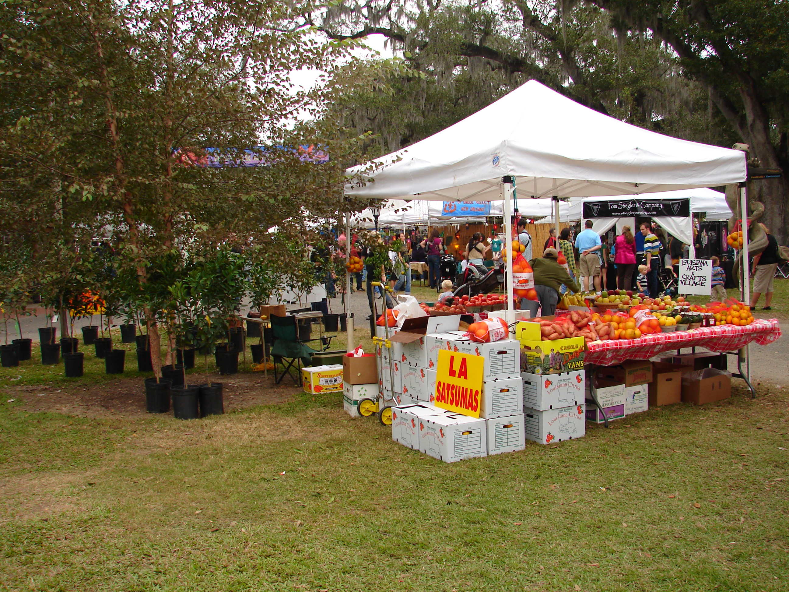 Garden Shows 2009