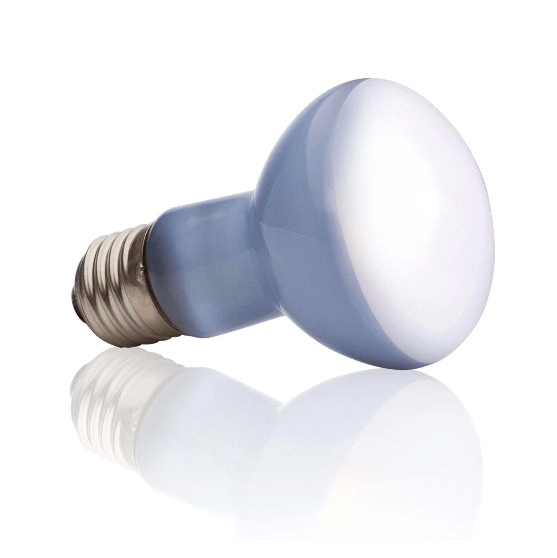 EXOTERRA® BASKING SPOTS, DAYLIGHT BASKING SPOT CITTAPET TIENDA