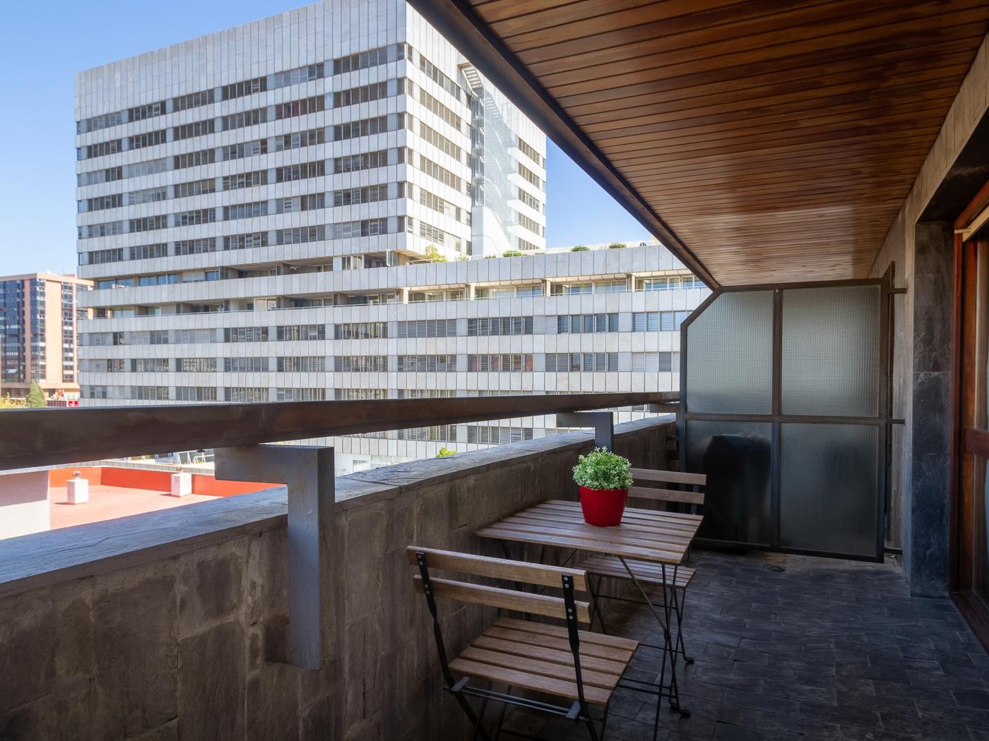 Cuzco OneBedroom apartment