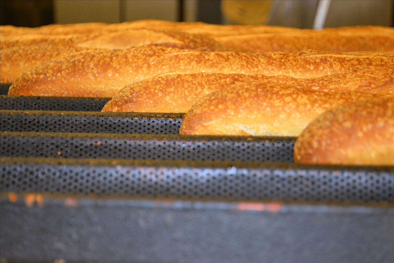 Our Story City Bakery US