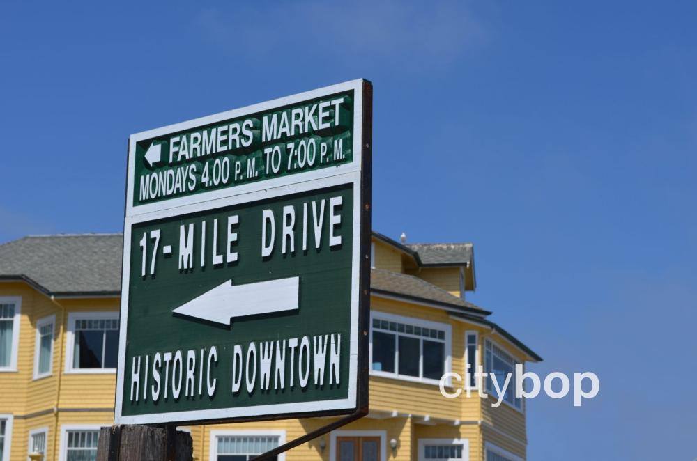 10 BEST Things to Do at 17 Mile Drive