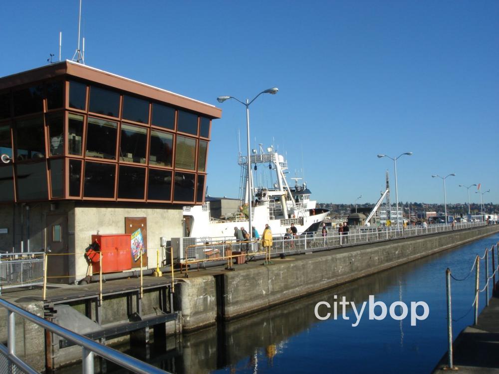 10 BEST Things at Ballard Locks Free Entry, Salmon Viewing, History
