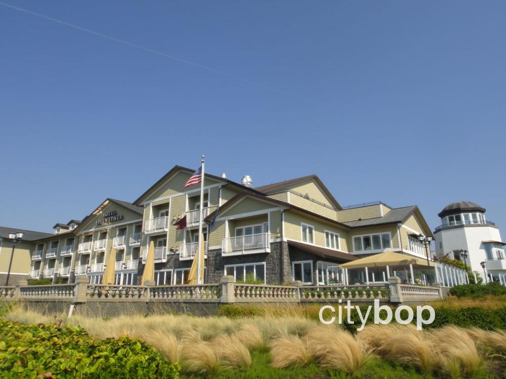 10 BEST Things to Do in Bellingham CityBOP