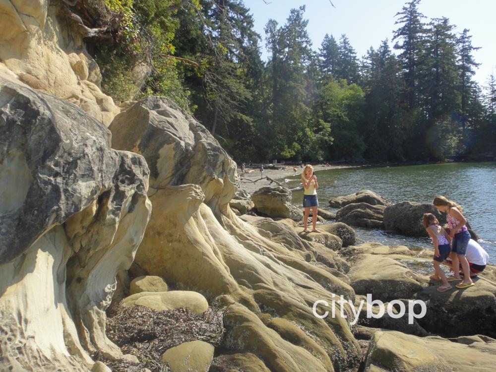 5 BEST stops along Chuckanut Drive 21miles Start to End