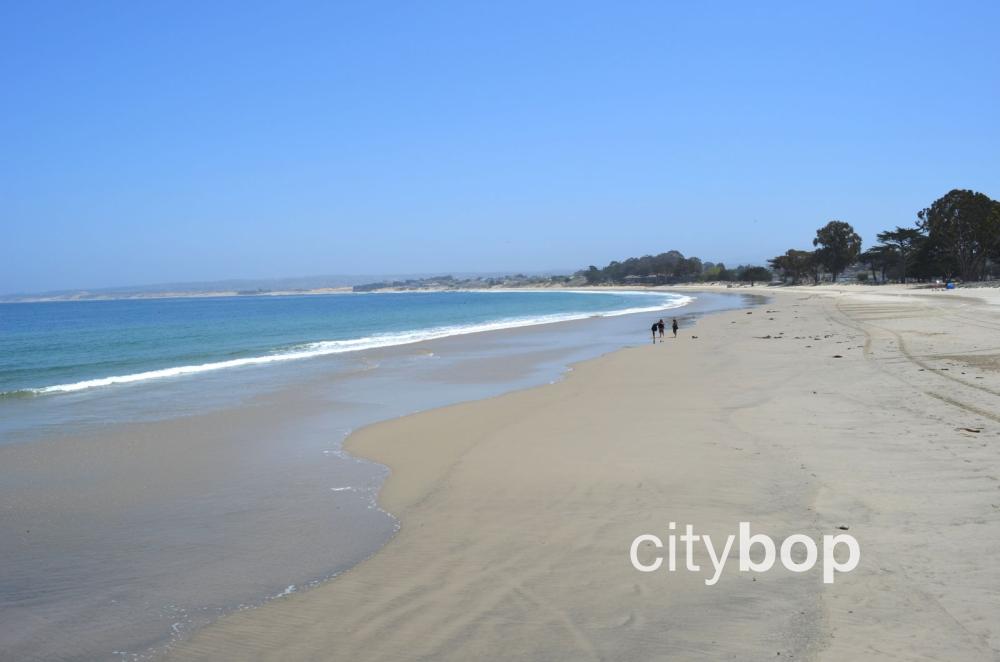 5 BEST Things about Del Monte Beach