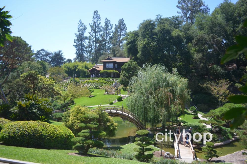 10 BEST Attractions at Huntington Library CityBOP