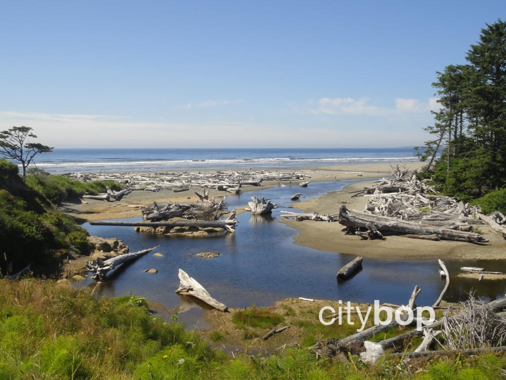10 BEST Things to Do at Kalaloch Beach