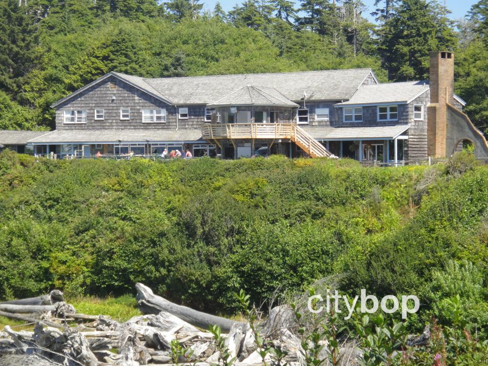 10 BEST Things to Do at Kalaloch Lodge