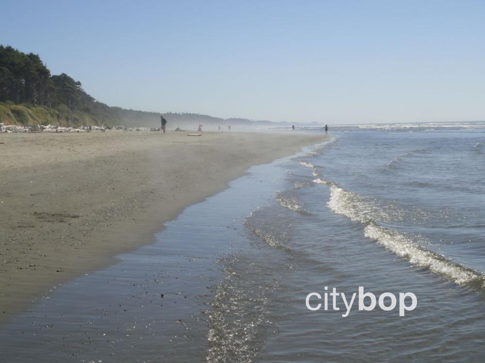 10 BEST Things to Do at Kalaloch Beach