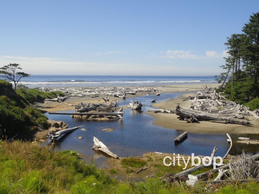 10 BEST Things to Do at Kalaloch Lodge
