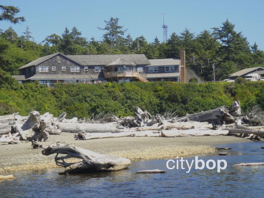 10 BEST Things to Do at Kalaloch Lodge