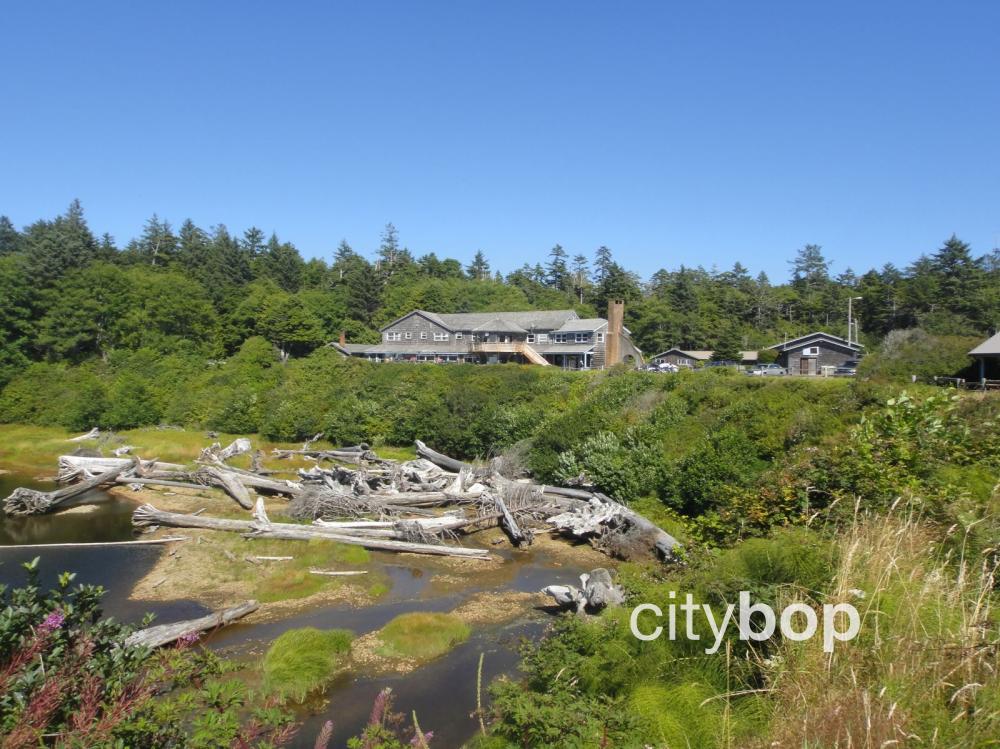 10 BEST Things to Do at Kalaloch Lodge