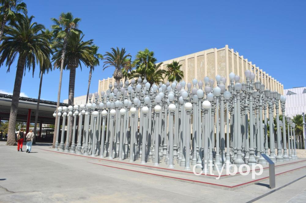 10 BEST Things To Do at LACMA CityBOP