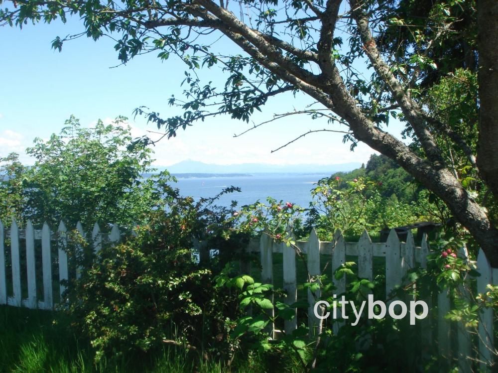 10 BEST Things to Do in Langley WA