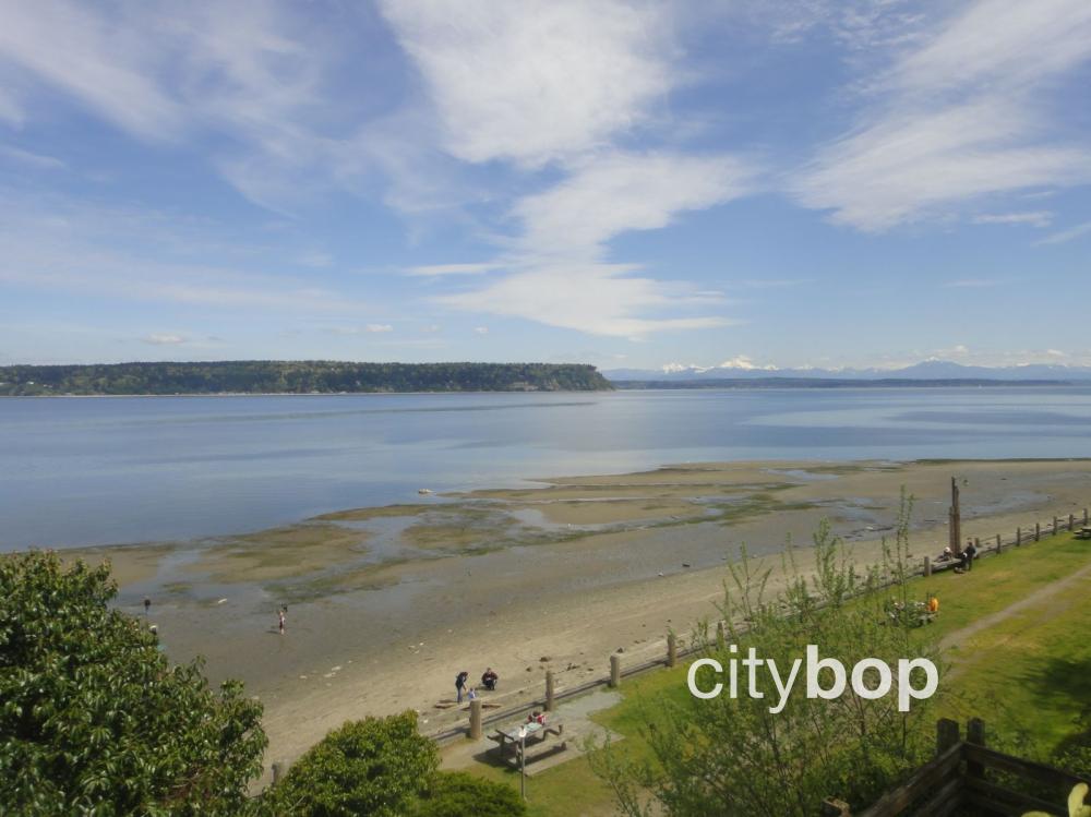 10 BEST Things to Do in Langley WA