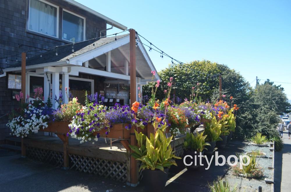 5 BEST Things to Do in Manzanita