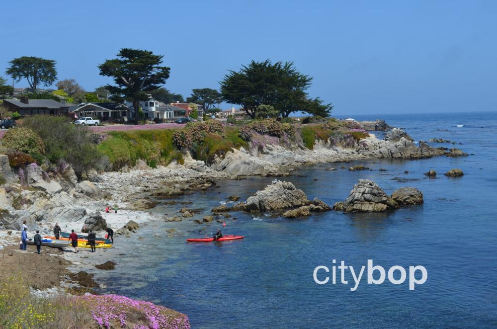 5 BEST Things about Monterey Kayaking