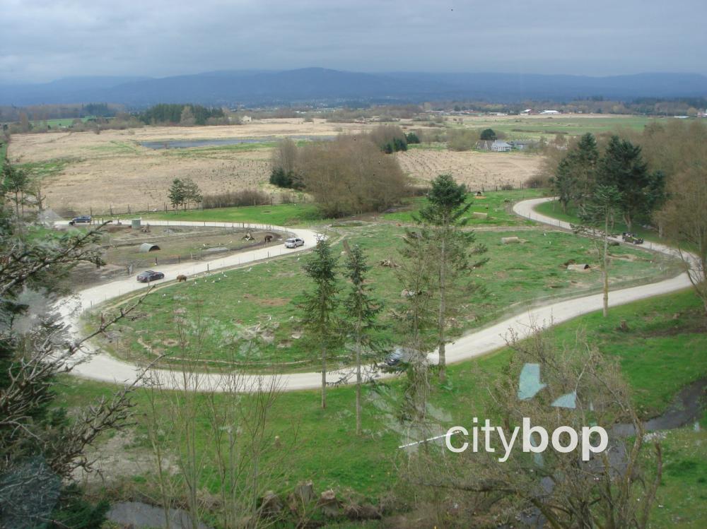 Olympic Game Farm BEST Attractions