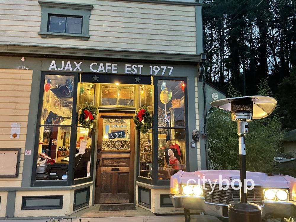 3 BEST Things to Do at Port Hadlock