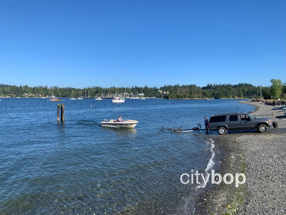 3 BEST Things to Do at Port Hadlock