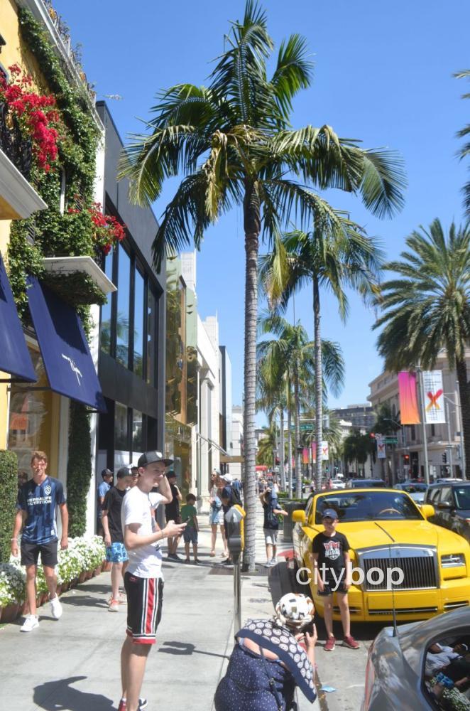 10 BEST Rodeo Drive shops & attractions CityBOP