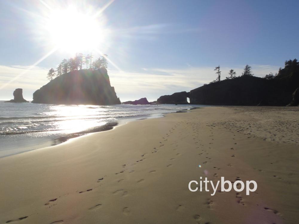 5 BEST Things to Do at Second Beach La Push
