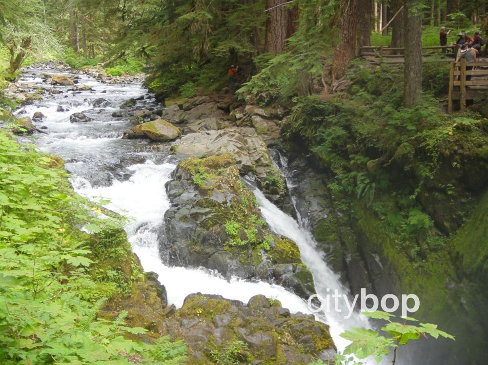 10 BEST Things about Sol Duc Falls