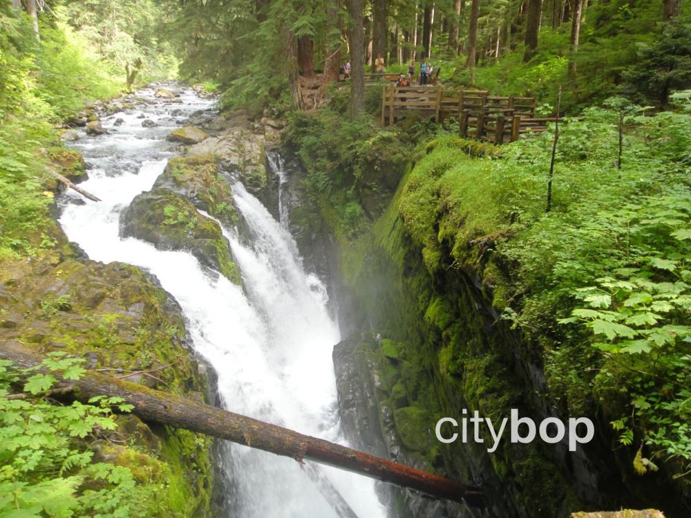 10 BEST Things about Sol Duc Falls