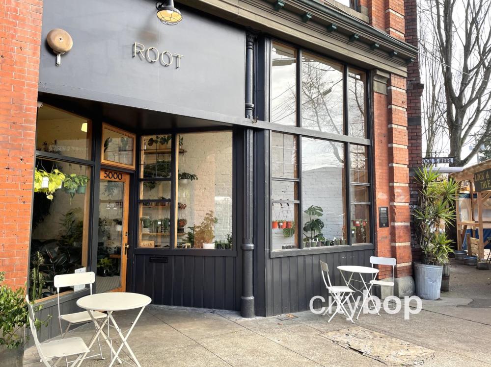 10 BEST Things to Do in Ballard Seattle CityBOP