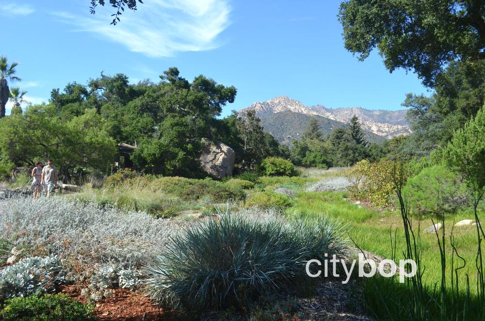 10 BEST Attractions at Santa Barbara Botanic Garden CityBOP