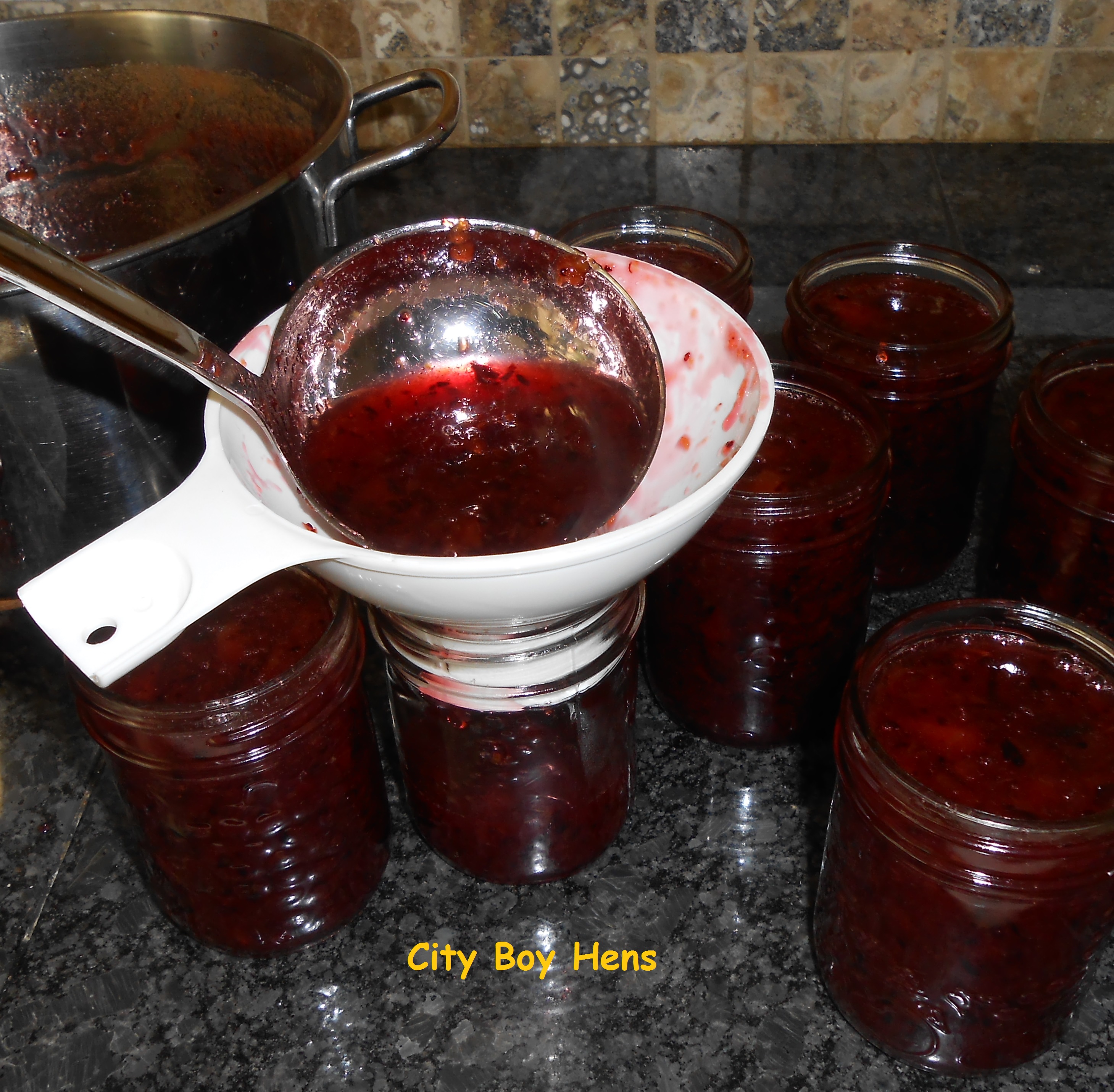 How To Make Italian Plum Jam City Boy Hens