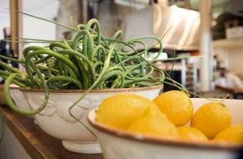 Potager Denver Restaurant Citybuzz A Vidicom And Christy Ferer