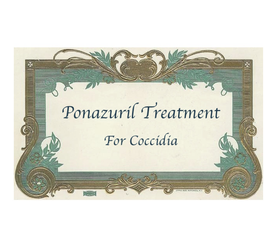 Ponazuril Liquid