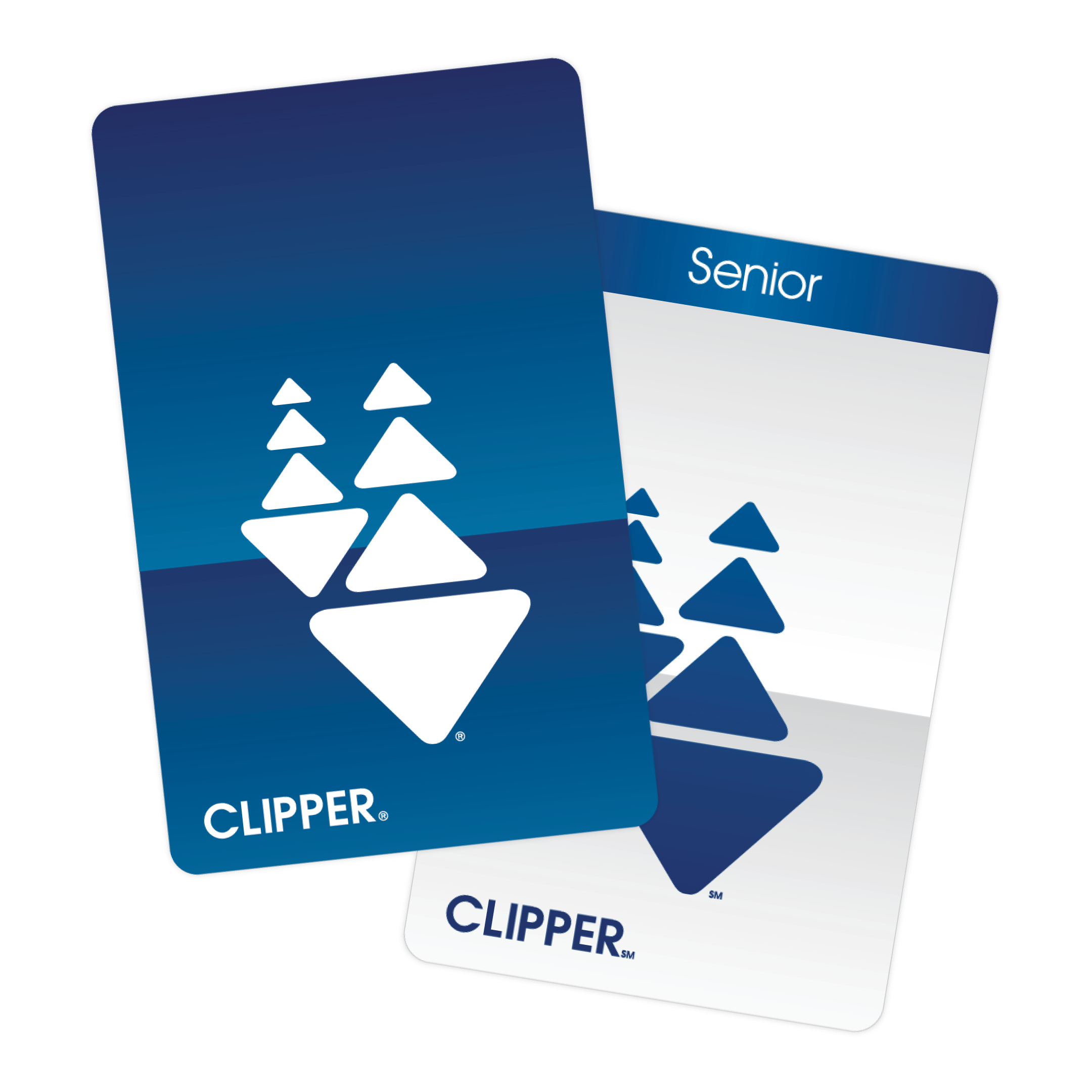 Youth Transportation City Coach