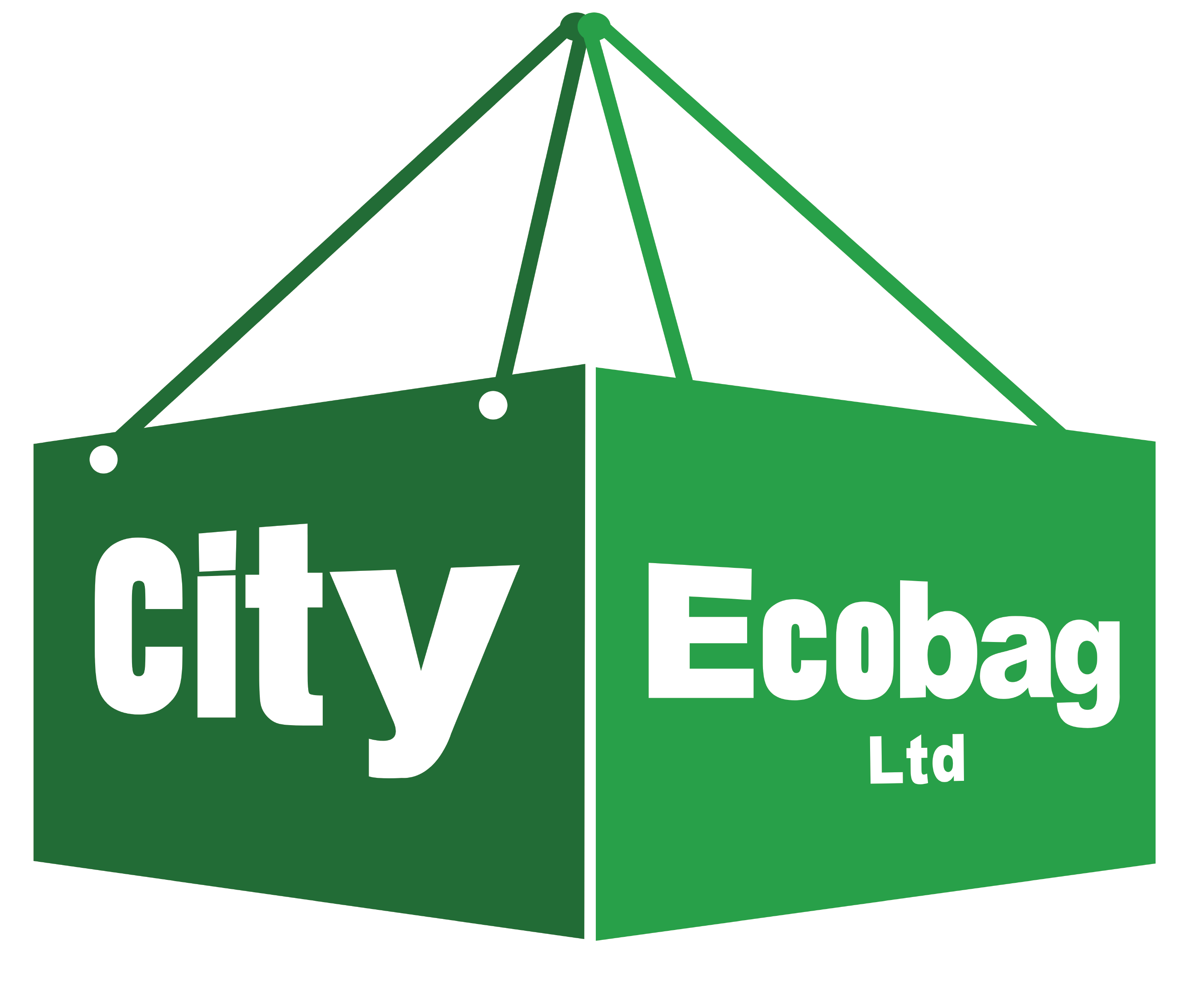 Home City Disposal Containers Inc