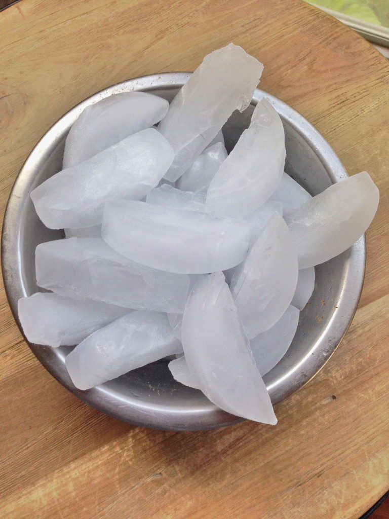 Am I killing my dogs by giving them ice water? City Dog Expert