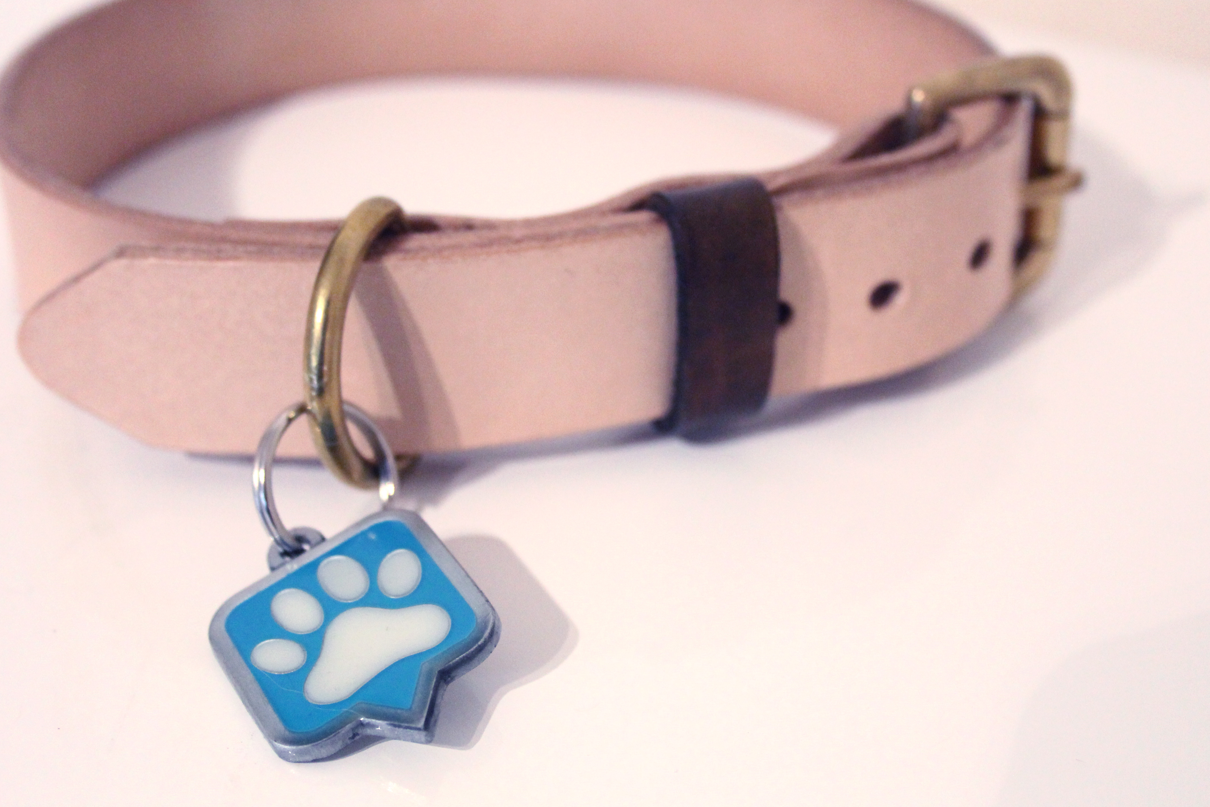 PAWtechnologies Tag Alert