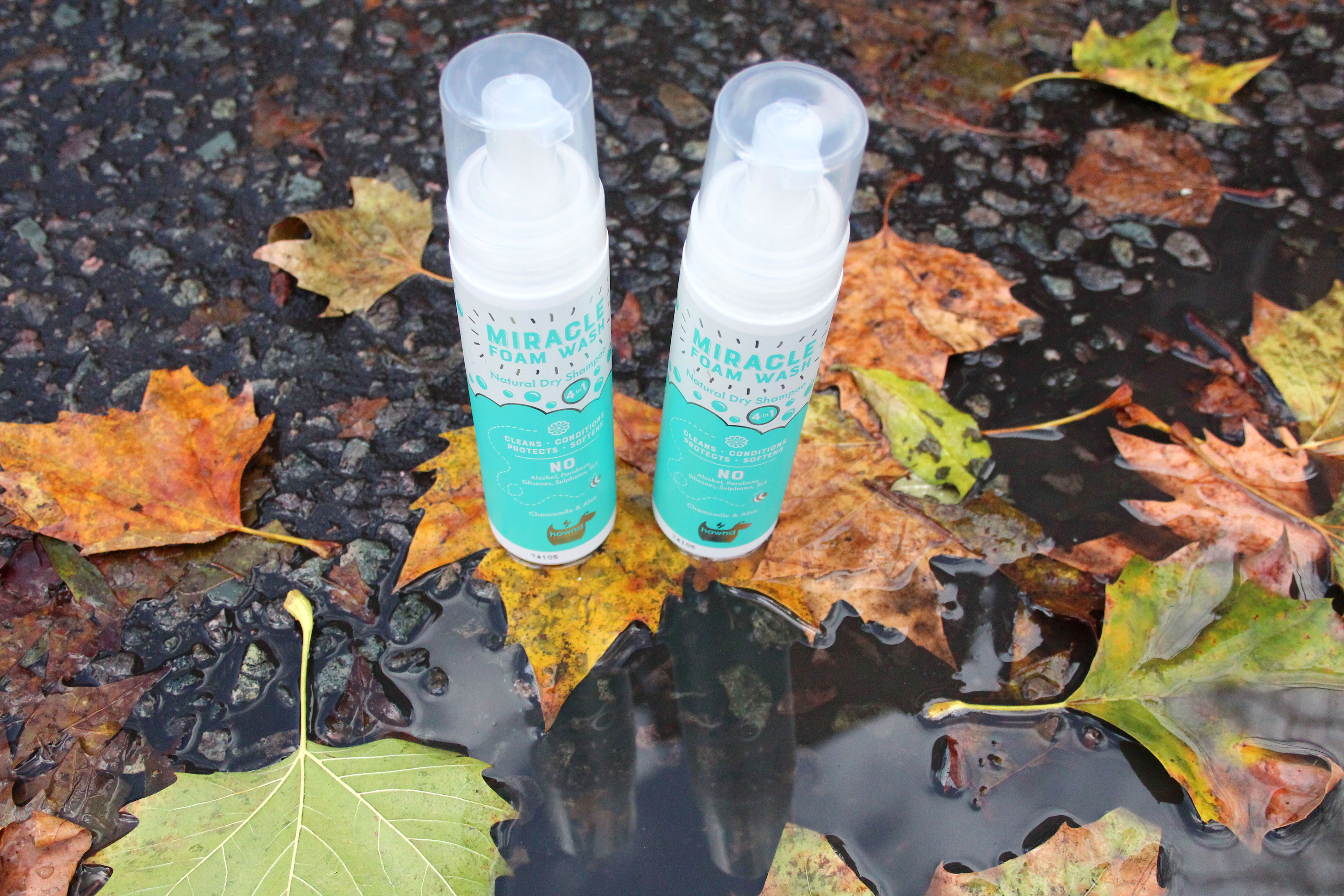 Hownd Foam Wash Review City Dog Expert